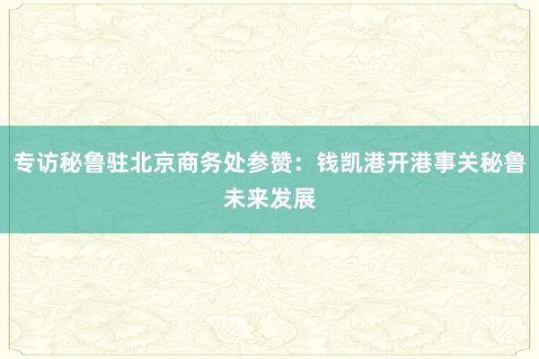 专访秘鲁驻北京商务处参赞：钱凯港开港事关秘鲁未来发展