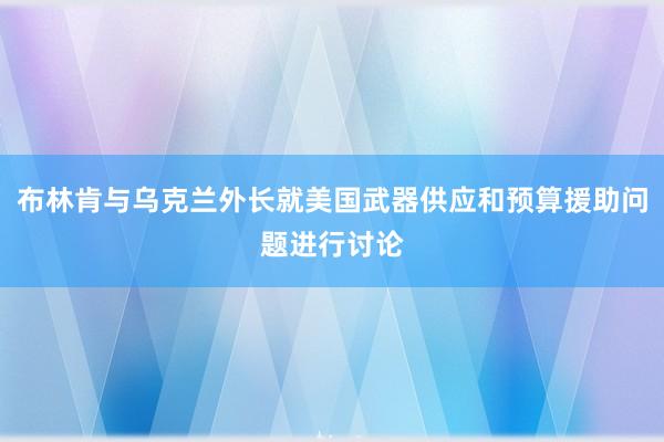 布林肯与乌克兰外长就美国武器供应和预算援助问题进行讨论