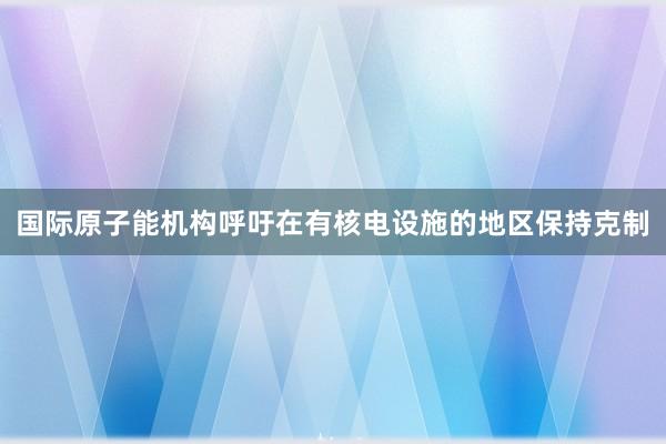 国际原子能机构呼吁在有核电设施的地区保持克制