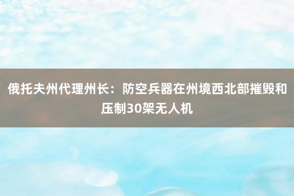 俄托夫州代理州长：防空兵器在州境西北部摧毁和压制30架无人机