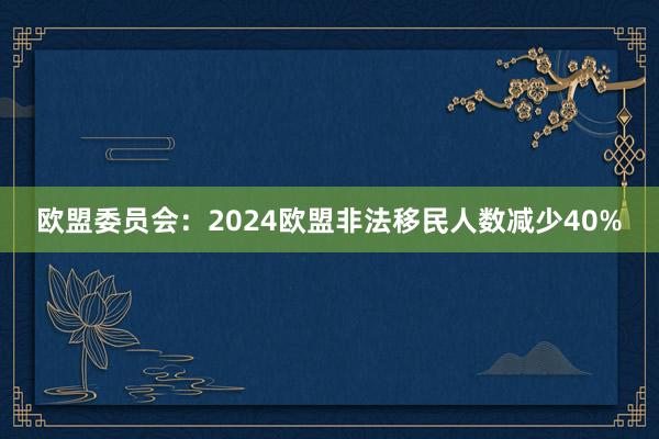 欧盟委员会：2024欧盟非法移民人数减少40%