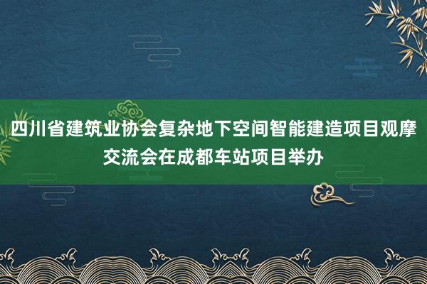 四川省建筑业协会复杂地下空间智能建造项目观摩交流会在成都车站项目举办