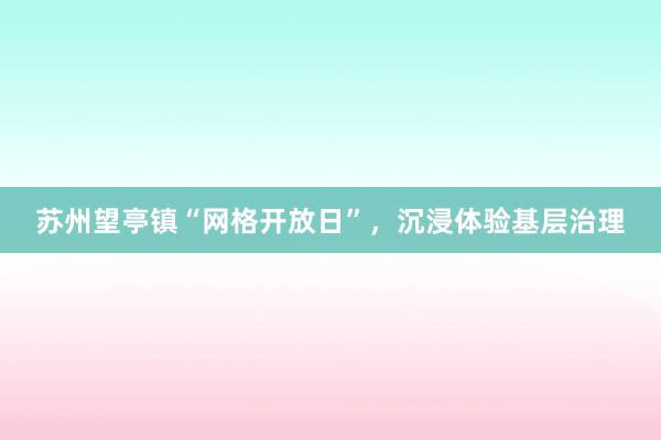 苏州望亭镇“网格开放日”，沉浸体验基层治理