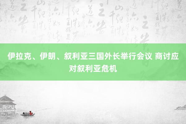 伊拉克、伊朗、叙利亚三国外长举行会议 商讨应对叙利亚危机