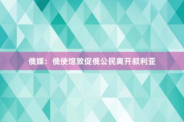 俄媒：俄使馆敦促俄公民离开叙利亚