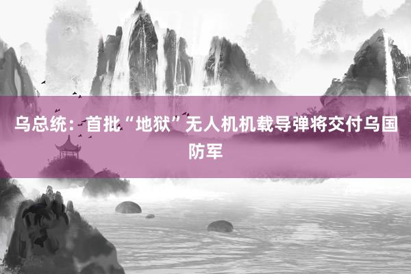 乌总统：首批“地狱”无人机机载导弹将交付乌国防军