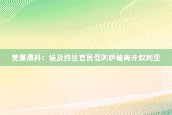 美媒爆料：埃及约旦官员促阿萨德离开叙利亚