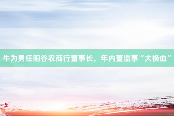 牛为勇任阳谷农商行董事长，年内董监事“大换血”