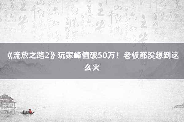 《流放之路2》玩家峰值破50万！老板都没想到这么火