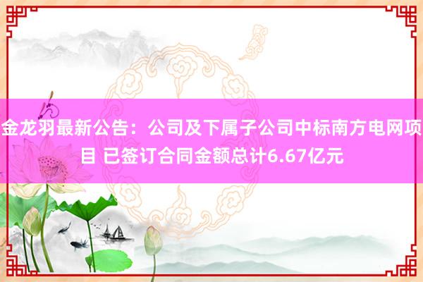 金龙羽最新公告：公司及下属子公司中标南方电网项目 已签订合同金额总计6.67亿元