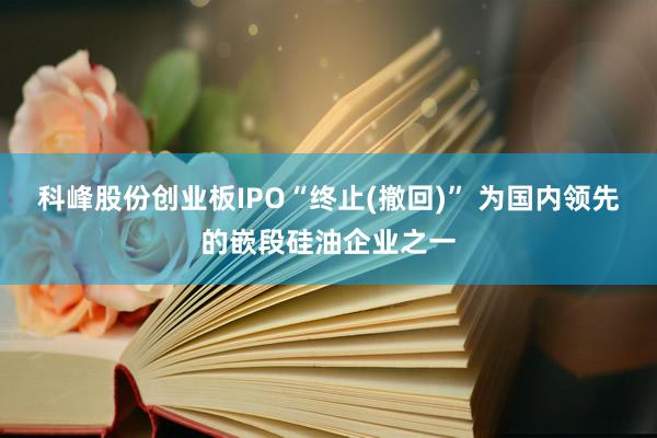 科峰股份创业板IPO“终止(撤回)” 为国内领先的嵌段硅油企业之一