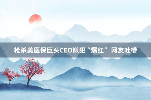 枪杀美医保巨头CEO嫌犯“爆红” 网友吐槽