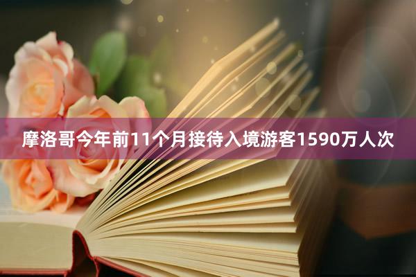 摩洛哥今年前11个月接待入境游客1590万人次