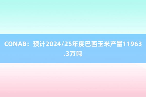 CONAB：预计2024/25年度巴西玉米产量11963.3万吨