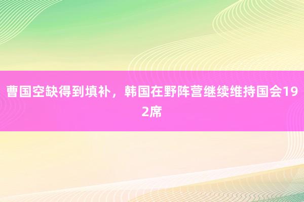 曹国空缺得到填补，韩国在野阵营继续维持国会192席