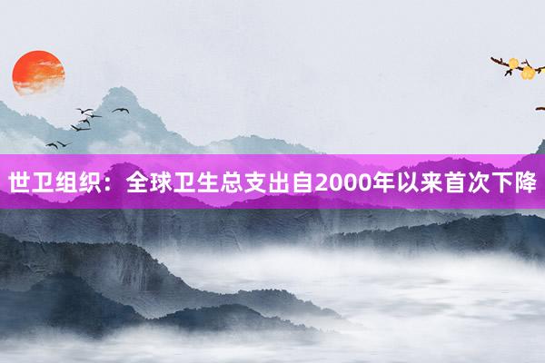 世卫组织：全球卫生总支出自2000年以来首次下降