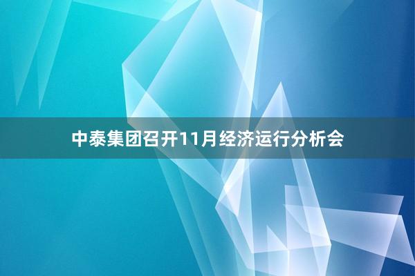 中泰集团召开11月经济运行分析会