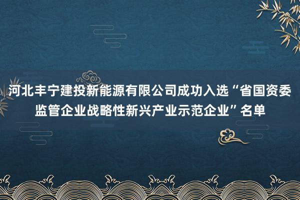 河北丰宁建投新能源有限公司成功入选“省国资委监管企业战略性新兴产业示范企业”名单