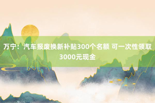 万宁：汽车报废换新补贴300个名额 可一次性领取3000元现金