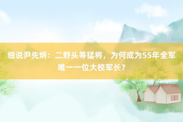 细说尹先炳：二野头等猛将，为何成为55年全军唯一一位大校军长？