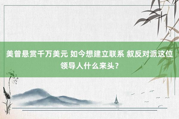 美曾悬赏千万美元 如今想建立联系 叙反对派这位领导人什么来头？