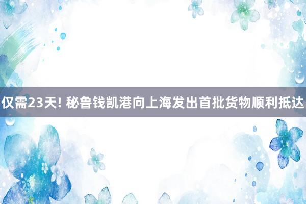 仅需23天! 秘鲁钱凯港向上海发出首批货物顺利抵达