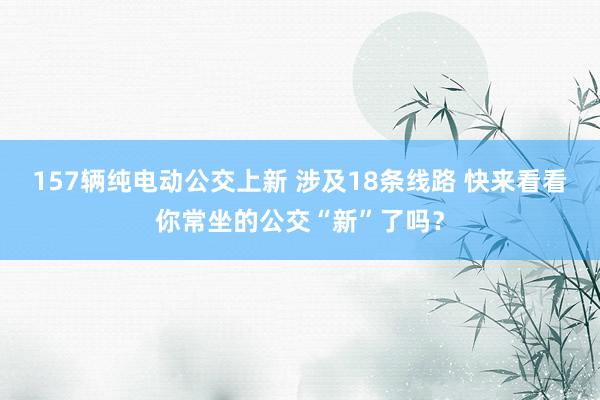 157辆纯电动公交上新 涉及18条线路 快来看看你常坐的公交“新”了吗？