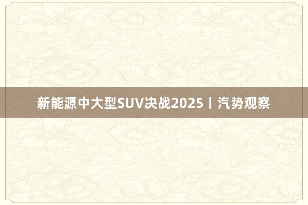 新能源中大型SUV决战2025丨汽势观察