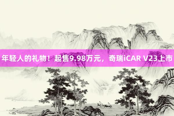 年轻人的礼物！起售9.98万元，奇瑞iCAR V23上市