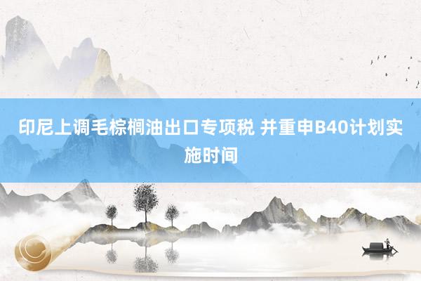 印尼上调毛棕榈油出口专项税 并重申B40计划实施时间