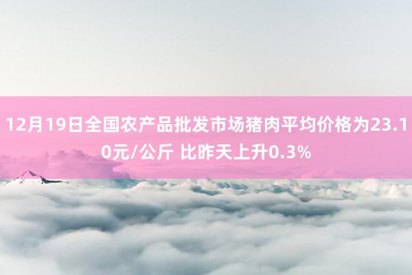 12月19日全国农产品批发市场猪肉平均价格为23.10元/公斤 比昨天上升0.3%