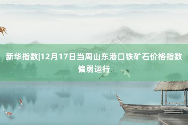 新华指数|12月17日当周山东港口铁矿石价格指数偏弱运行