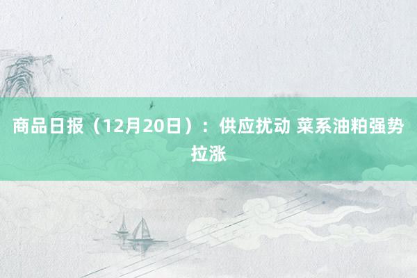 商品日报（12月20日）：供应扰动 菜系油粕强势拉涨