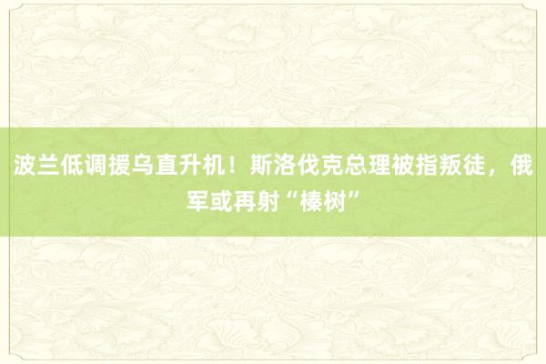 波兰低调援乌直升机！斯洛伐克总理被指叛徒，俄军或再射“榛树”